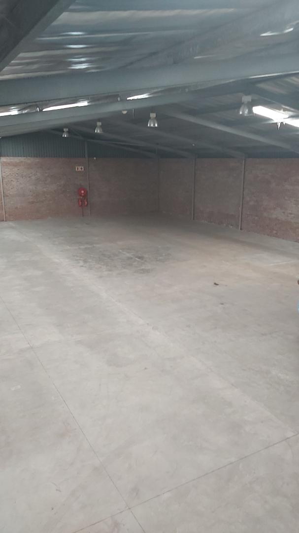 To Let commercial Property for Rent in Newton Park Eastern Cape